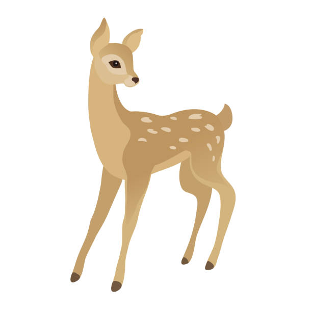 Cute young deer vector art illustration