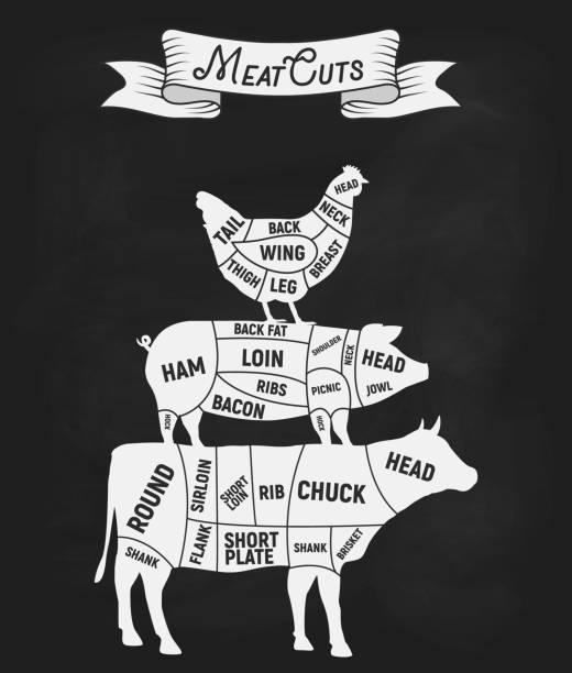 Cuts of meat set. Diagrams for butcher shop. Vintage Poster for butcher shop. Cuts of Beef, Pork, Chicken. Vector illustration. Vector illustration cutting stock illustrations