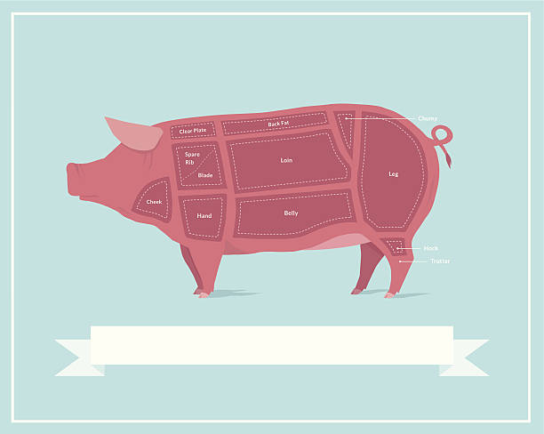 Cuts of Pork Vintage style illustration showing different cuts of pork. This is an editable EPS vector illustration. pig clipart stock illustrations