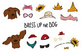 Drees up the dog collection. Funny hipster Dachshund couple portraits with accessories.