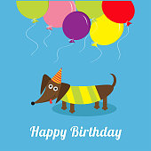 Dachshund dog with tongue. Striped shirt. Cute cartoon character. Balloons and hat. Happy Birthday greeting card. Flat design Vector illustration