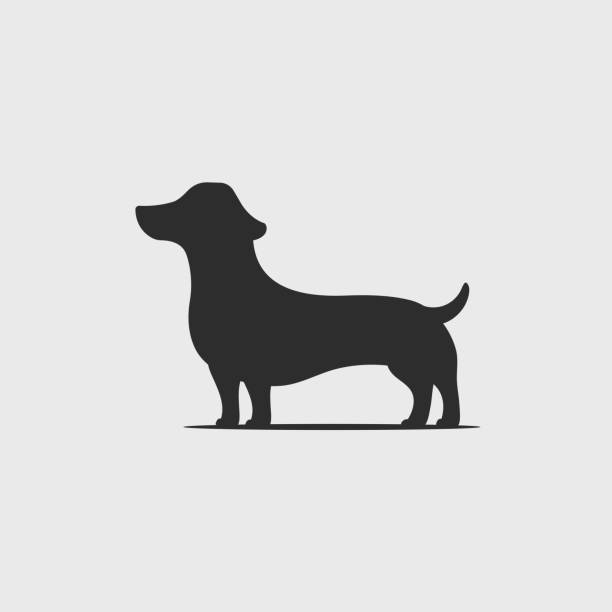 bildbanksillustrationer, clip art samt tecknat material och ikoner med dachshund valp silhouette - tax