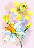 istock Daffodil aquarelle spring vector 1370477324