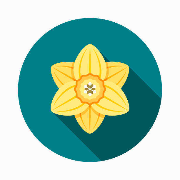 Daffodil Flat Design Easter Icon with Side Shadow  easter sunday stock illustrations