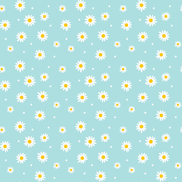 stockillustraties, clipart, cartoons en iconen met daisy cute seamless pattern. floral retro style simple motif. wh - asteroideae
