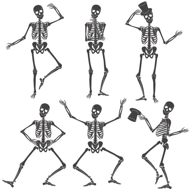 tanzende skelette. verschiedenen skelett posen isoliert. - menschliches skelett stock-grafiken, -clipart, -cartoons und -symbole
