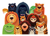 vector illustration of dangerous wild animals looking at front