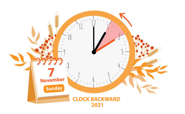 Daylight Saving Time ends concept. Clock and date of changing time in november 2021 Daylight Saving Time ends concept. Vector illustration of clock and calendar date of changing time in november 7, 2021 with autumn foliage decoration. Fall Back time illustration isolated on white daylight savings 2021 stock illustrations
