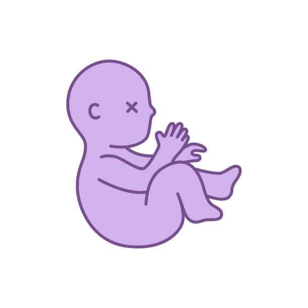 Dead fetus baby vector illustration. Concept miscarriage pregnancy Dead fetus baby vector illustration. Concept miscarriage pregnancy abortion clinic stock illustrations
