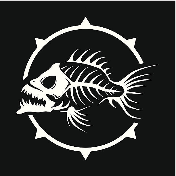 Dead fish Dead fish skeleton (pirate banner). High resolution PNG file(in white and black color variants without background)  is also added. animal bone stock illustrations