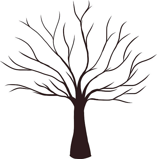 Dead Tree without Leaves Dead Tree without Leaves Vector Illustration Sketched, EPS 10. bare tree stock illustrations