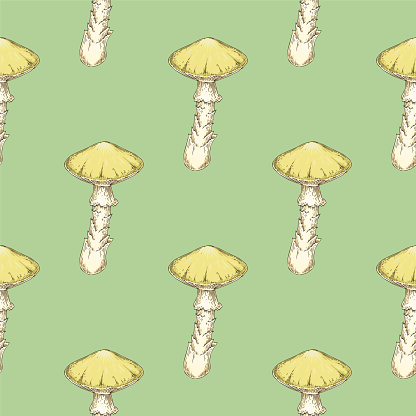 Death Cup Mushroom Seamless Pattern