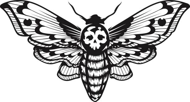 Deaths Head Hawk Moth Deaths Head Hawk Moth vector illustration isolated on white. Tattoo style graphic design. Black and white vector art. moth stock illustrations