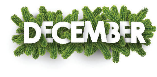 ilustrações, clipart, desenhos animados e ícones de banner de dezembro com ramos de abeto. - dezembro