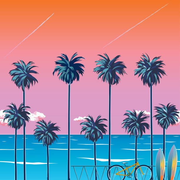 stockillustraties, clipart, cartoons en iconen met dalen op het strand met palmbomen - fietsen strand