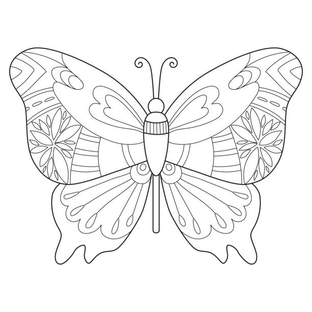 Decorative butterfly Coloring book for adult Decorative butterfly Coloring book for adult butterfly coloring stock illustrations