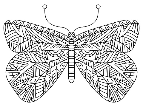 Decorative geometry hand-drawn butterfly colouring page vector illustration