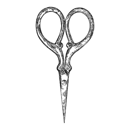 Decorative scissors engraving illustration on white background. Hand drawing. Witch magic tool. Vector.