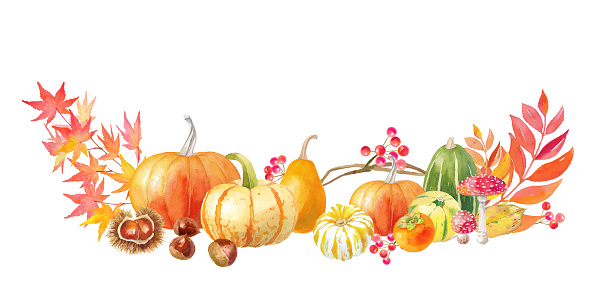 Decorative watercolor illustrations for Thanksgiving Day and Halloween. Frame design. Harvesting pumpkins, chestnuts and persimmons. (Vector data)