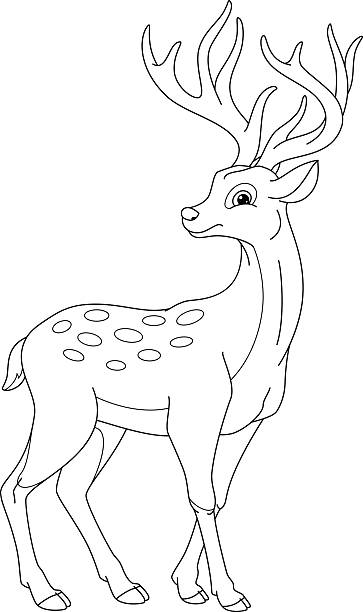 Best Sika Deer Illustrations, Royalty-Free Vector Graphics & Clip Art