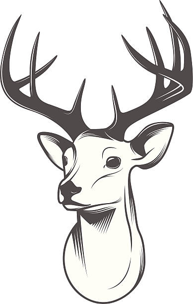 Deer Head Illustrations, Royalty-Free Vector Graphics ...