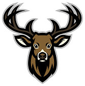 istock Deer head mascot 859967718