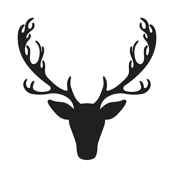 bildbanksillustrationer, clip art samt tecknat material och ikoner med deer head vector illustration isolated elk silhouette - whitetail
