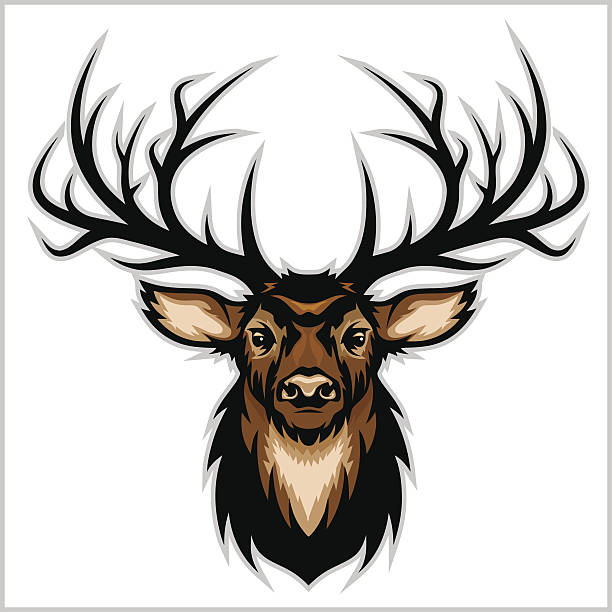 bildbanksillustrationer, clip art samt tecknat material och ikoner med deer head. vector illustration. - whitetail