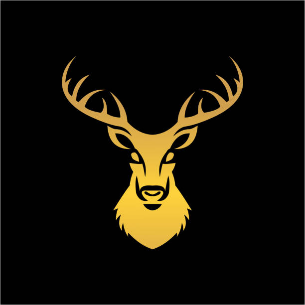 bildbanksillustrationer, clip art samt tecknat material och ikoner med deer head vector logo template animal - deer dead