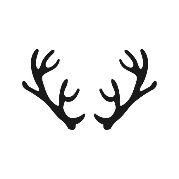 bildbanksillustrationer, clip art samt tecknat material och ikoner med deer horns. icon on a white background. illustration - whitetail