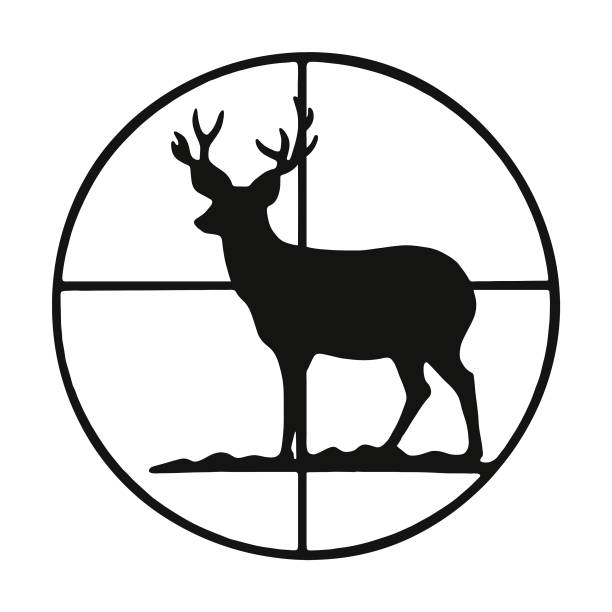 십자선에 있는 사슴 - 사냥 stock illustrations