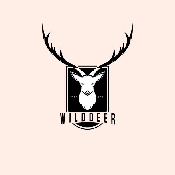 bildbanksillustrationer, clip art samt tecknat material och ikoner med deer logo illustration template design, deer emblem vector design - roe deer
