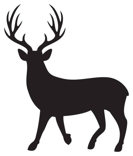 bildbanksillustrationer, clip art samt tecknat material och ikoner med deer silhouette - deer dead