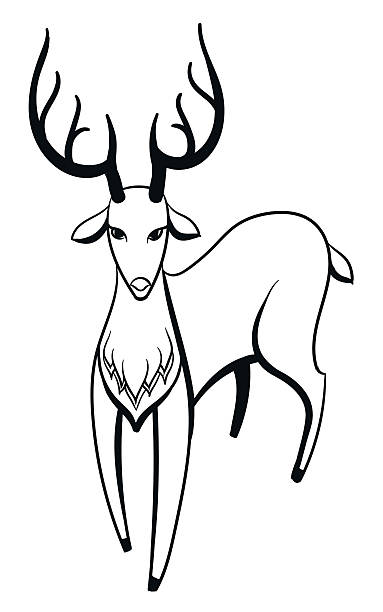 bildbanksillustrationer, clip art samt tecknat material och ikoner med deer - whitetail
