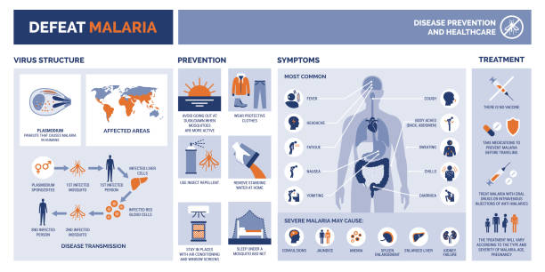 stockillustraties, clipart, cartoons en iconen met nederlaag malaria infographic met symptomen en preventie - malaria