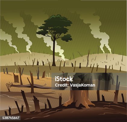 istock Deforestation and the Lonely Tree 538745647