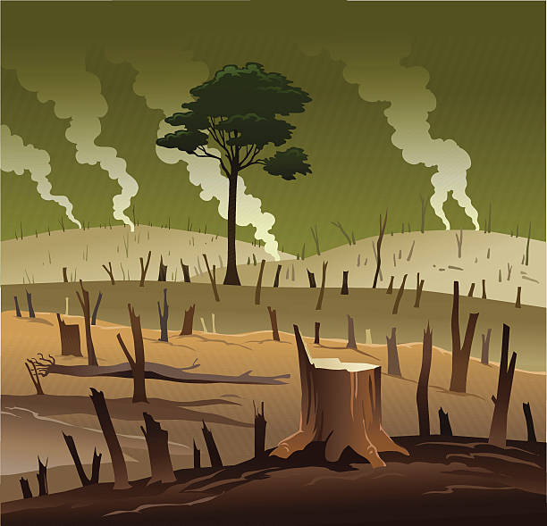 Deforestation and the Lonely Tree All images are placed on separate layers. They can be removed or altered if you need to. Some gradients were used. No transparencies.  destruction stock illustrations