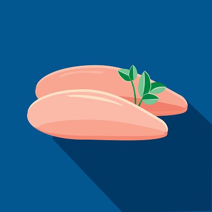 Vector illustration of a Deli meat cuts Flat Design chicken breast themed Icon with shadow. Vector eps 10, fully editable. vector