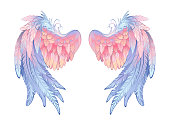 Artistically drawn angel wings, delicate pink and blue on white background. Angelic wings.