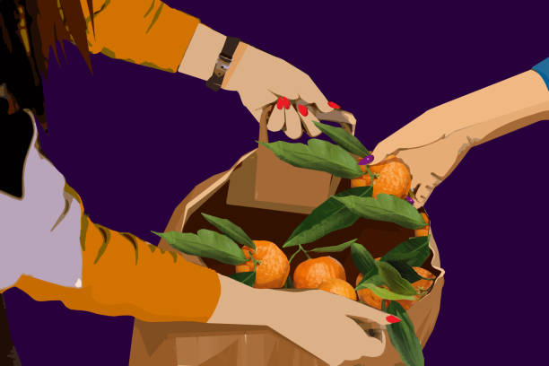 Delicious and fresh tangerines from the market vector art illustration