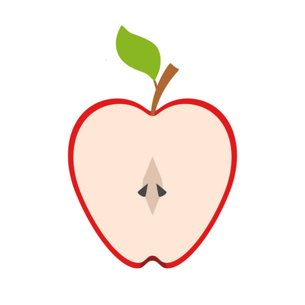 11 Apple Cut In Half Cartoon Illustrations Clip Art Istock