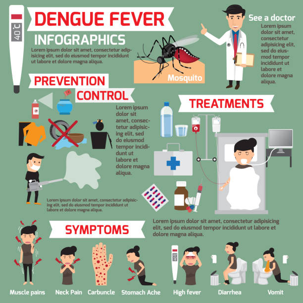 Dengue fever infographics. template design of details dengue fever and symptoms with prevention. Women sick is dengue fever vector illustration. vector art illustration