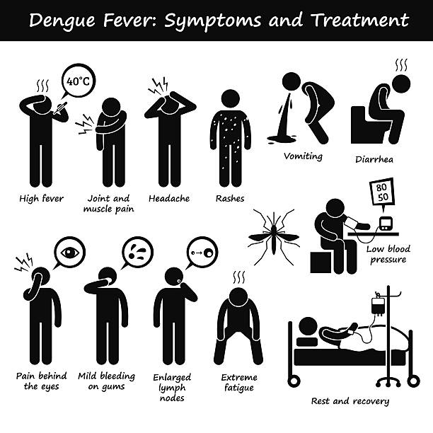 Dengue Fever Symptoms and Treatment Aedes Mosquito Pictogram A set of human pictogram representing the symptoms of dengue fever by aedes mosquito. This include high fever, joint and muscle pain, headache, skin rashes, vomiting, diarrhea, bleeding gum, enlarged lymph node, fatigue, and low blood pressure. dengue fever fever stock illustrations