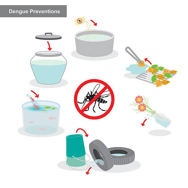 Dengue prevention How to prevent dengue dengue fever fever stock illustrations