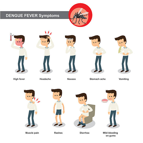 stockillustraties, clipart, cartoons en iconen met dengue symptoms - malaria