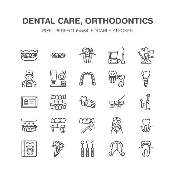 Dentist, orthodontics line icons. Dental equipment, braces, tooth prosthesis, veneers, floss, caries treatment medical elements. Health care thin linear signs for dentistry clinic Pixel perfect 64x64 Dentist, orthodontics line icons. Dental equipment, braces, tooth prosthesis, veneers, floss, caries treatment medical elements. Health care thin linear signs for dentistry clinic Pixel perfect 64x64. orthodontist stock illustrations
