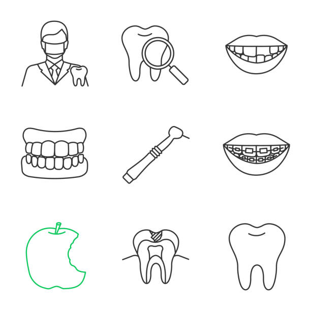 Best Missing Tooth Illustrations Royalty Free Vector Graphics And Clip Art Istock