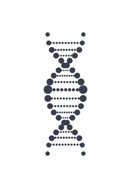 DNA Deoxyribonucleic Acid Chain Logo Design Icon DNA deoxyribonucleic acid chain logo design in black and white colors, DNA logotype of nucleotides carrying genetic instructions vector illustration isolated dna silhouettes stock illustrations
