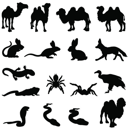 Desert animals silhouette set