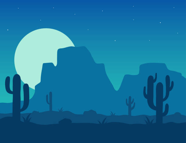 Desert at night vector illustration Desert landscape under the night sky vector illustration. Night desert area with silhouettes of stones, cacti, plants and mountains. Background Mexico or Arizona desert under the moon. desert area silhouettes stock illustrations